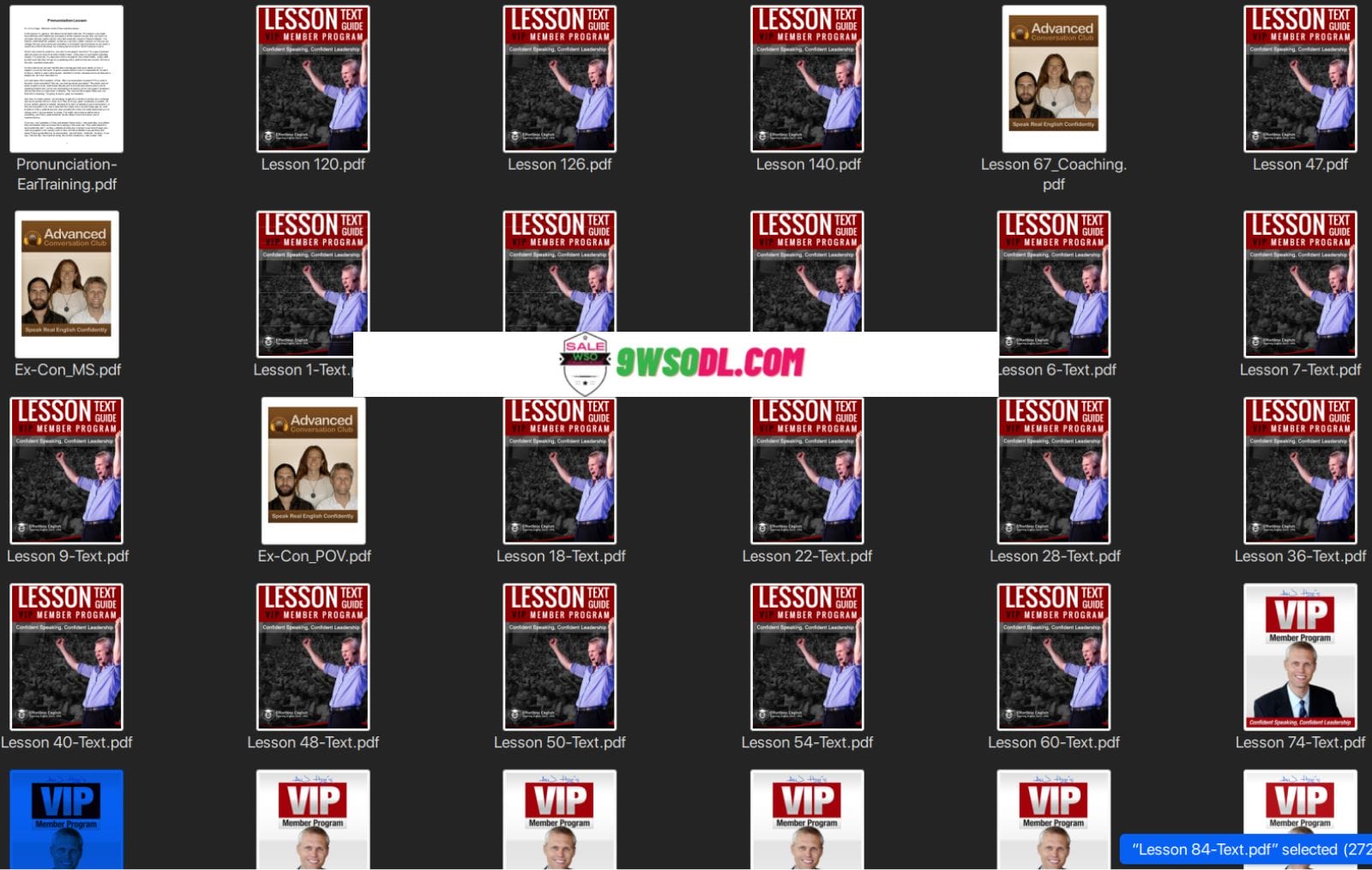 Effortless English VIP - Transcripts Screenshot