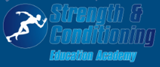 Danny Hague -The Bodyweight solution