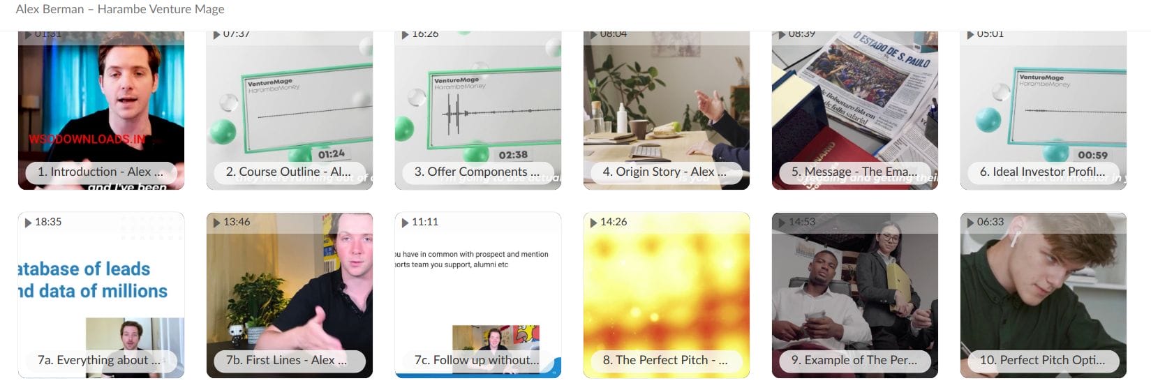 Alex Berman Harambe Venture Mage - download 1