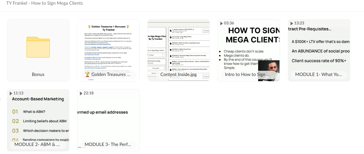 TY Frankel How to Sign Mega Clients - download
